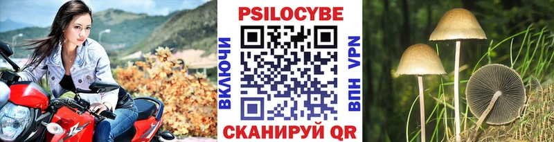 Галлюциногенные грибы мицелий Краснообск